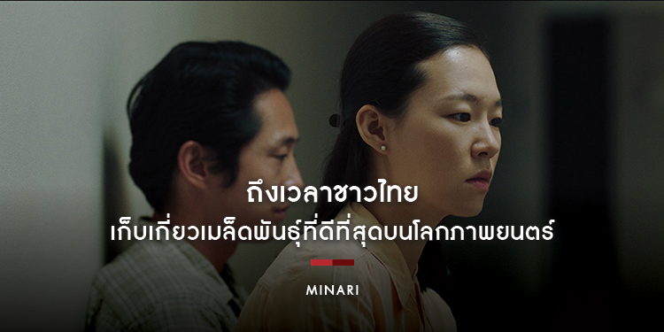ถึงเวลาชาวไทย เก็บเกี่ยวเมล็ดพันธุ์ที่ดีที่สุดบนโลกภาพยนตร์ "MINARI มินาริ"